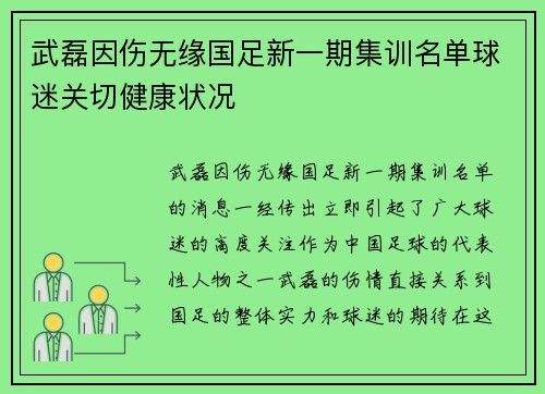 武磊因伤无缘国足新一期集训名单球迷关切健康状况 武磊因伤无缘国足新一期集训名单球迷关切健康状况